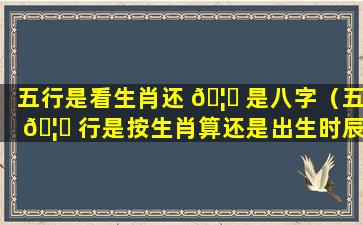 五行是看生肖还 🦋 是八字（五 🦉 行是按生肖算还是出生时辰算）